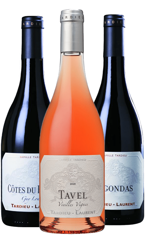 הכר את מייסון טארדיה לורן